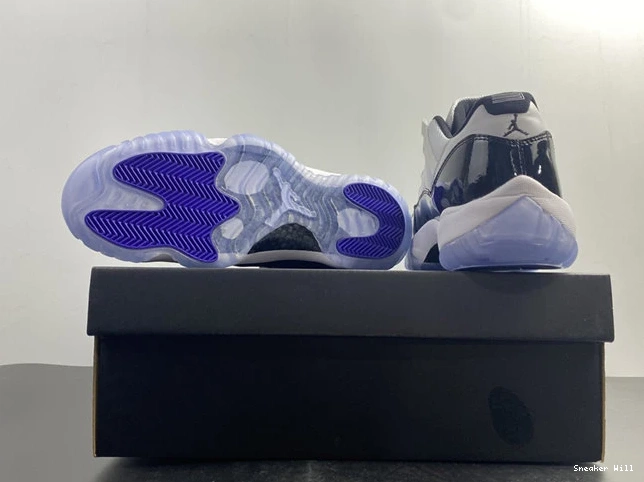 Concord 528895-153 Low Jordan Retro HighQuality 1065 11 0527